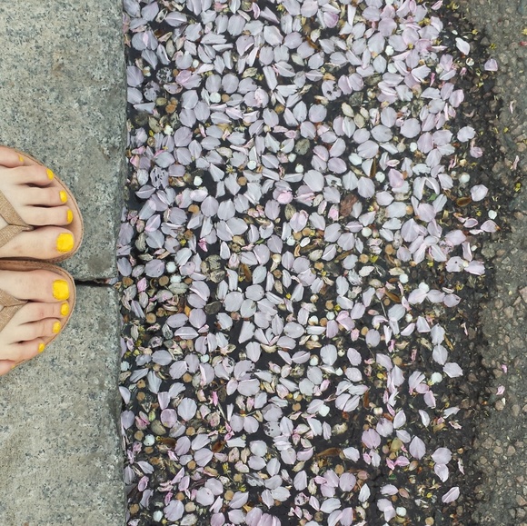 Meet your Posher, Ily - Picture 3 of 3